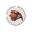 The Kākā logo
